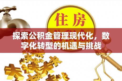 石台探索公积金管理现代化，数字化转型的机遇与挑战